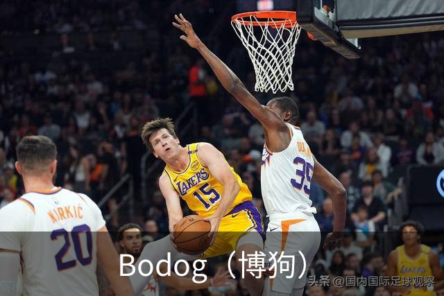 Bodog（博狗）公司简介图片